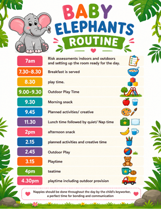 Baby Elephants Timetable